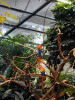 P1010009.jpg