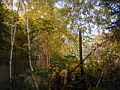 P1010015.jpg