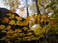 P1010016.jpg