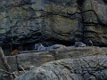 P1010018.jpg