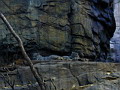 P1010019.jpg
