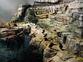 P1010023.jpg
