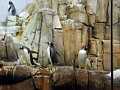 P1010024.jpg