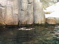P1010025.jpg