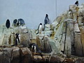 P1010026.jpg