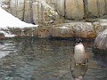 P1010027.jpg
