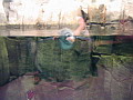 P1010030.jpg