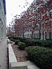 P1010141.jpg