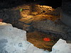 P1010174.jpg