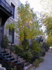 TA130290.jpg
